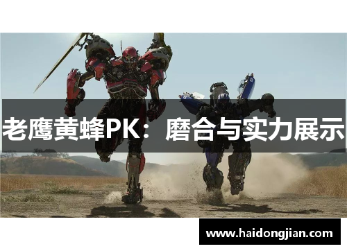 老鹰黄蜂PK：磨合与实力展示